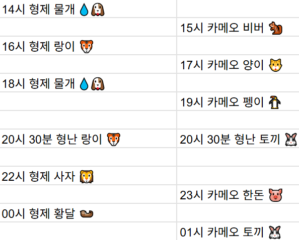 [3월19일] 금일 방송 스케줄입니다