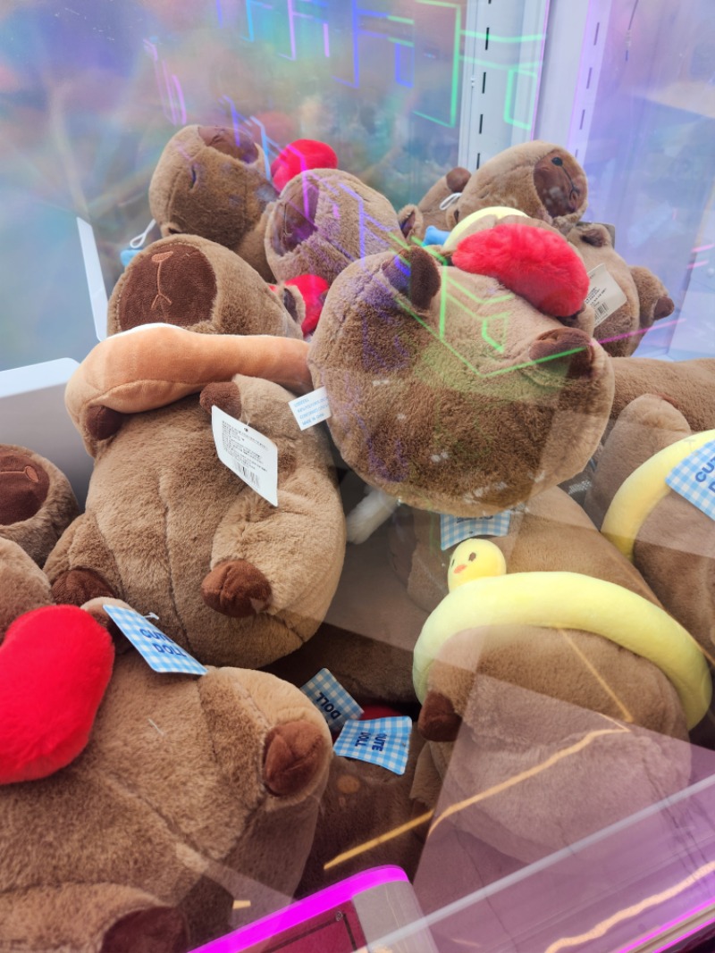 뽑기방3만3천원소진~ 비버팝니다~ 선제시