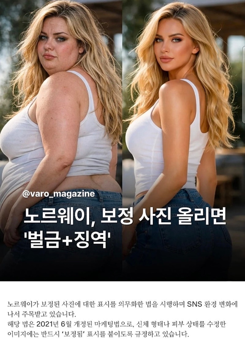 놀웨이 보정시 벌금징역형