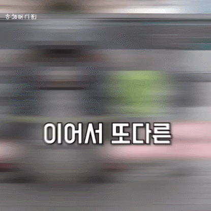 양아치 참교육 UFC 선수