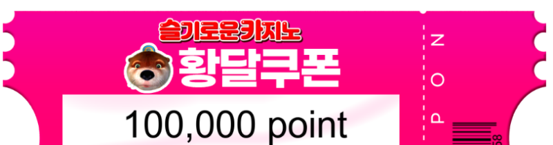 달이 수익 BJ 쿱