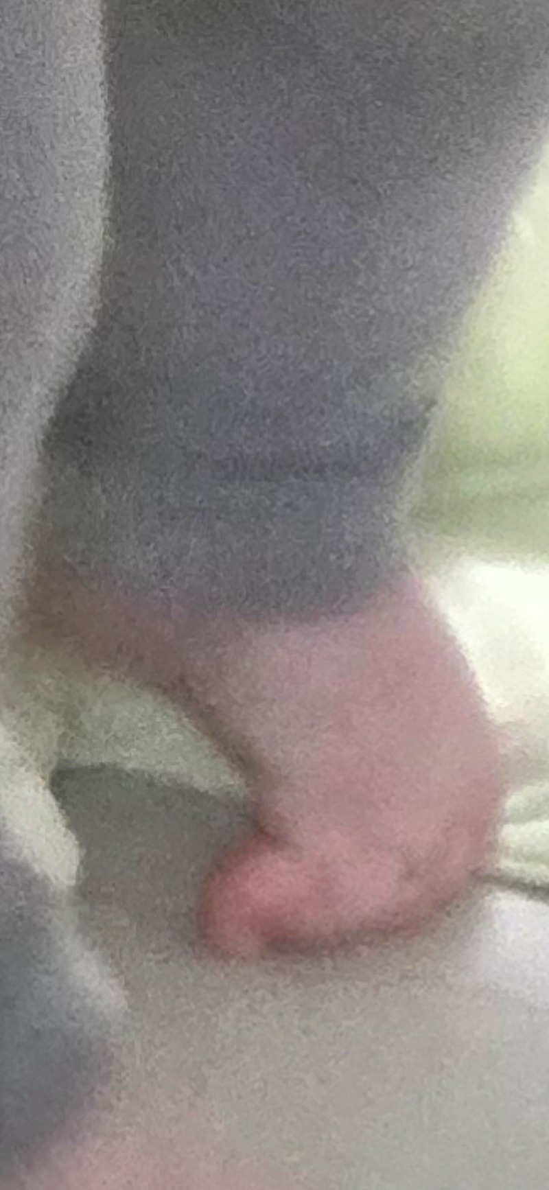 째니가.보고싶어하눈 킁킁이 ㅋㅋㅋㅋ