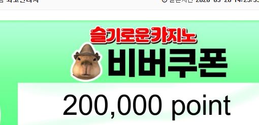 첫방 비버 추겜 당첨&성공^^ 첫방 비버 추겜 당첨&성공^^