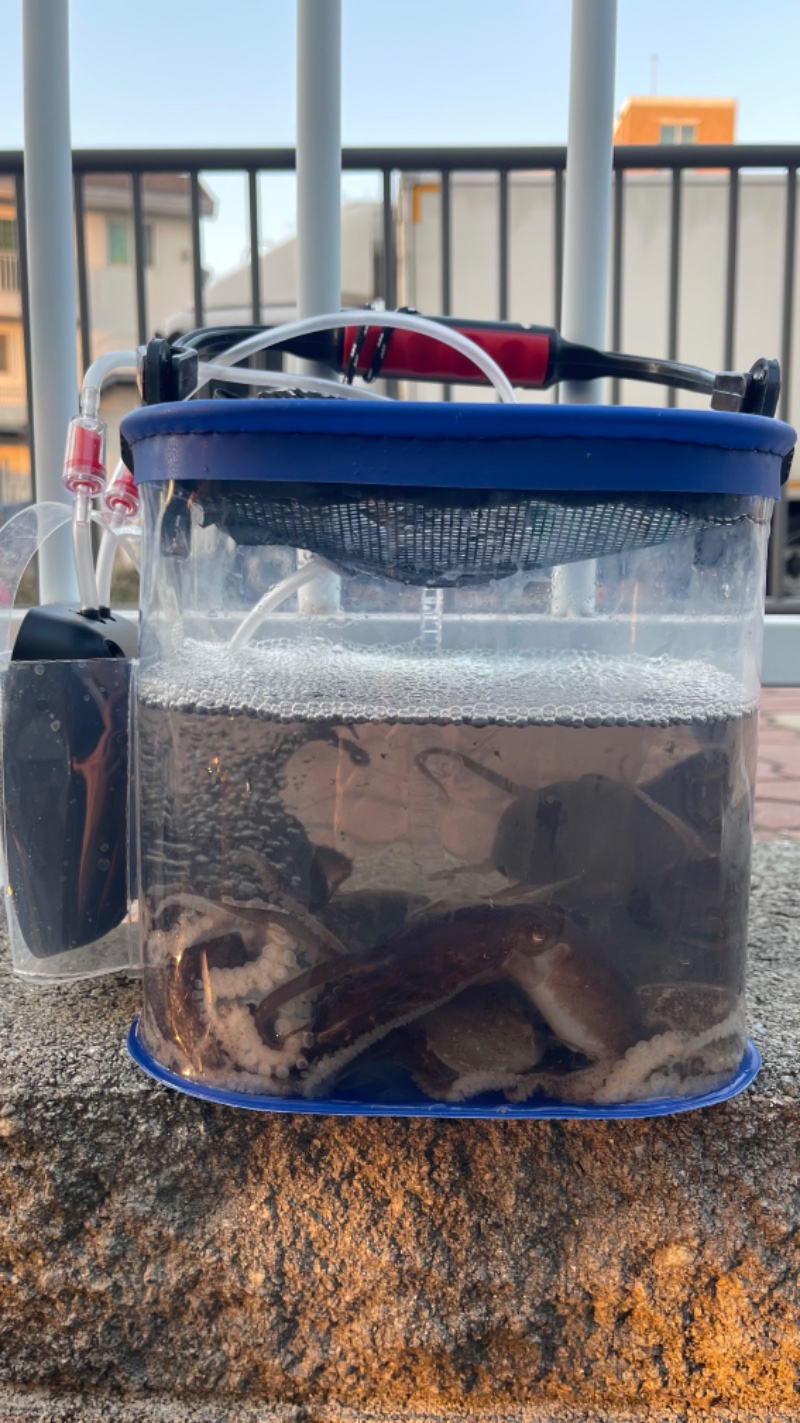 알쭈 낚시 조업ㅎ