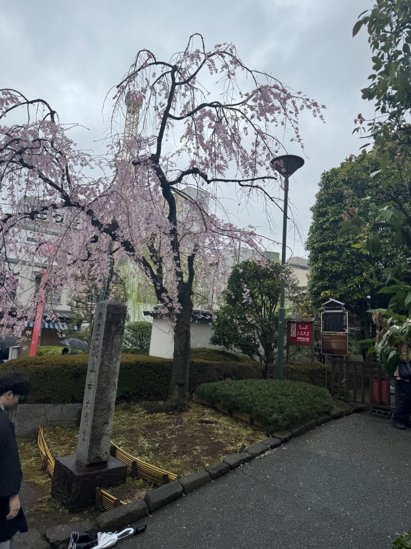 얼릉 이거봥 잰아