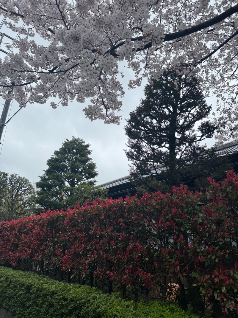 얼릉 이거봥 잰아