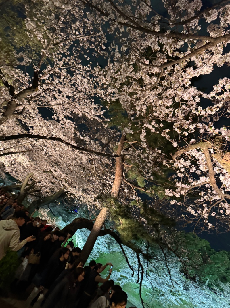 얼릉 이거봥 잰아