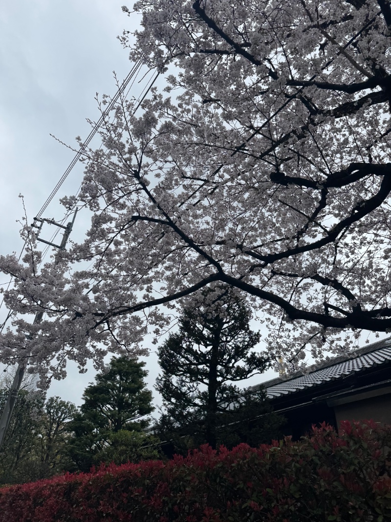 얼릉 이거봥 잰아