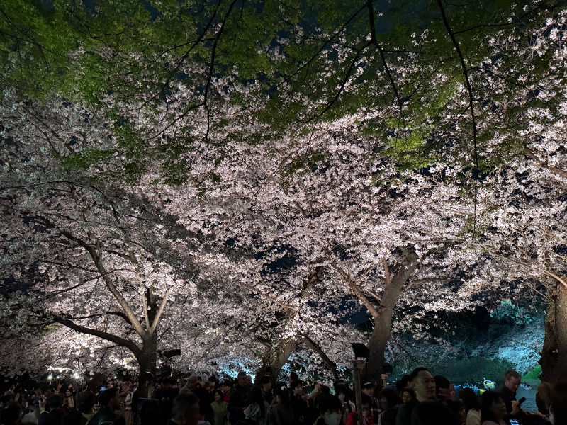 얼릉 이거봥 잰아