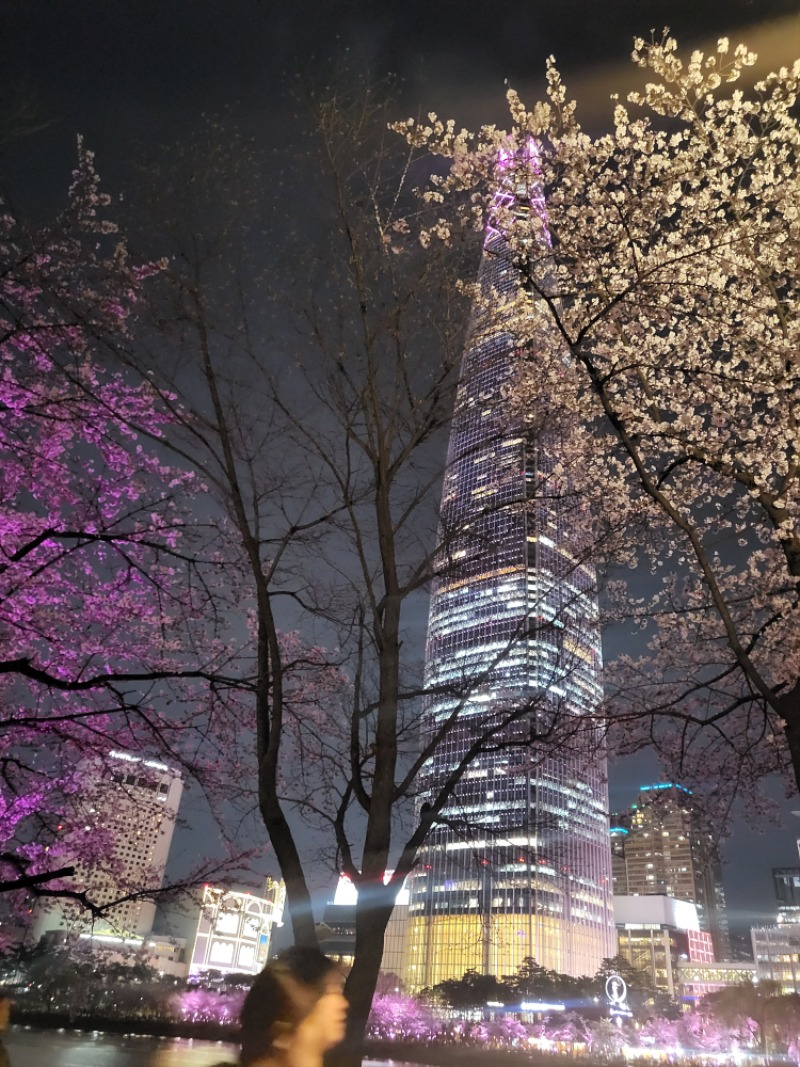 잠실 석촌 실시간