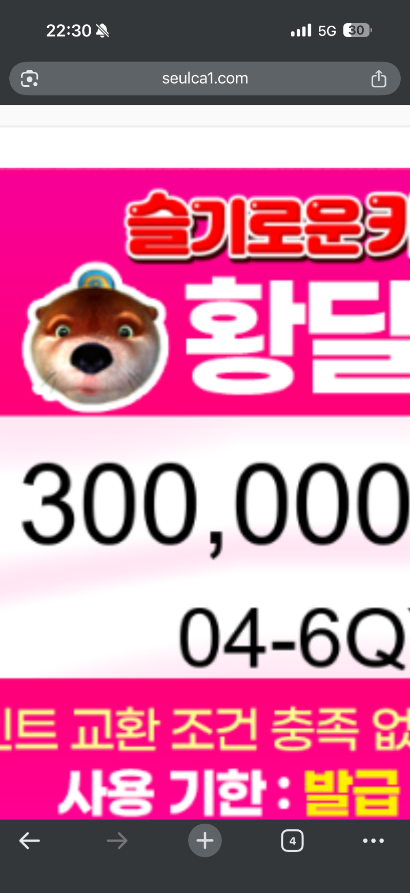 달이 추천 및 황달쿠폰