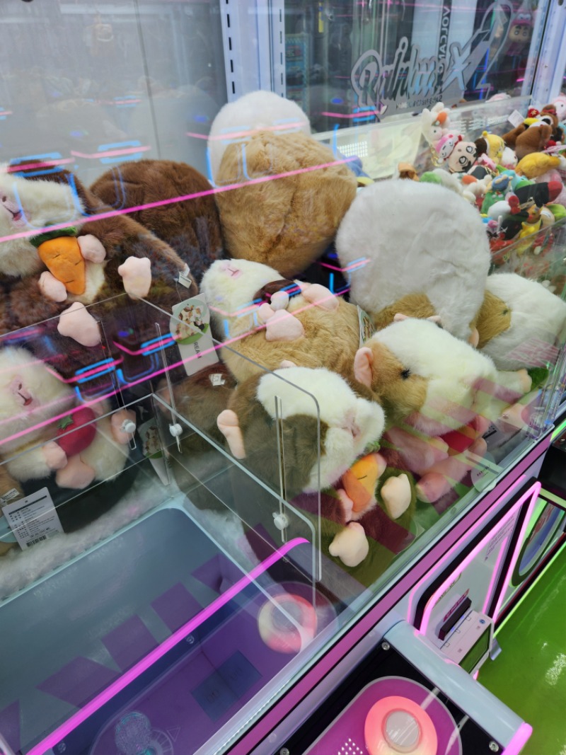 재은아 역시 루피는없다3군데 들렀는데.. ㅎ