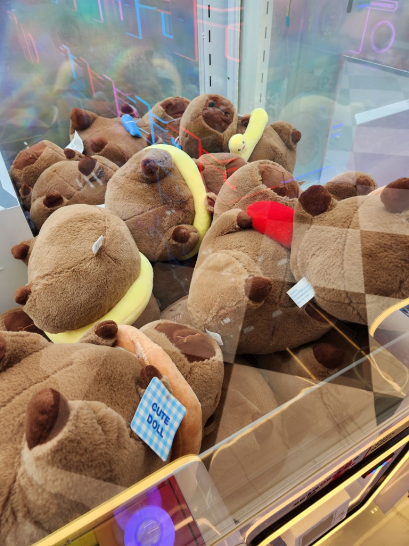 재은아 역시 루피는없다3군데 들렀는데.. ㅎ