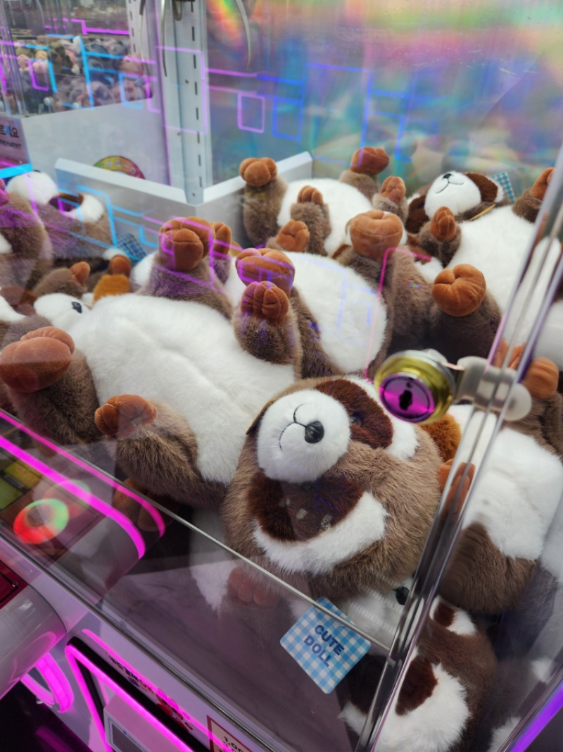 재은아 역시 루피는없다3군데 들렀는데.. ㅎ