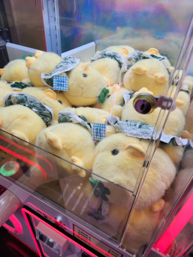 재은아 역시 루피는없다3군데 들렀는데.. ㅎ