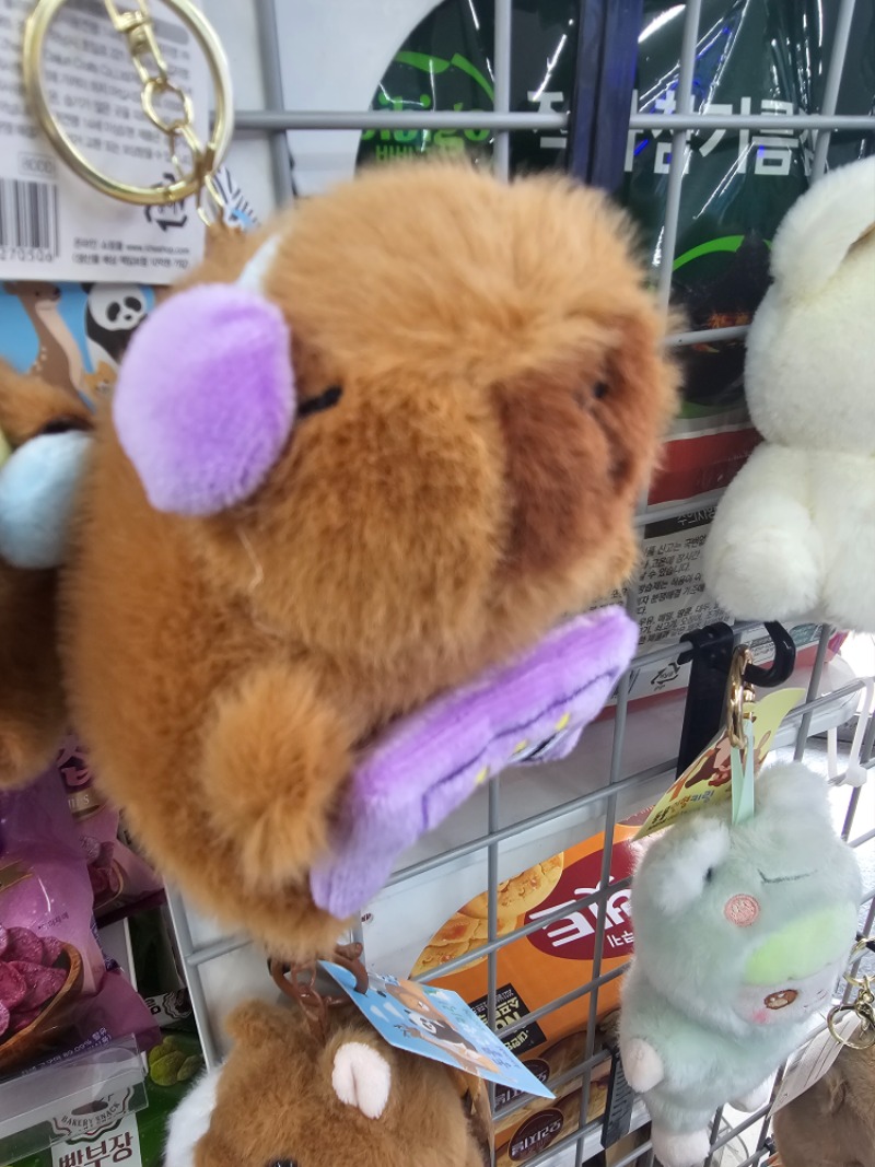 요즘 대세는 비벼?