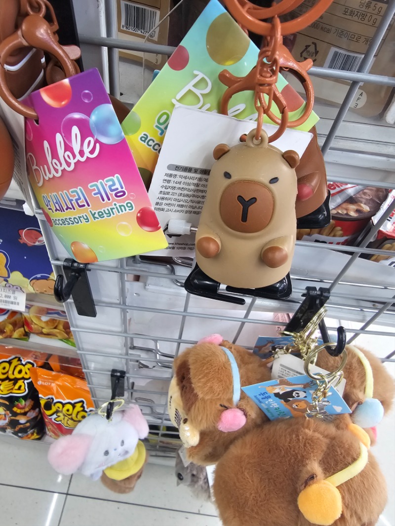 요즘 대세는 비벼?