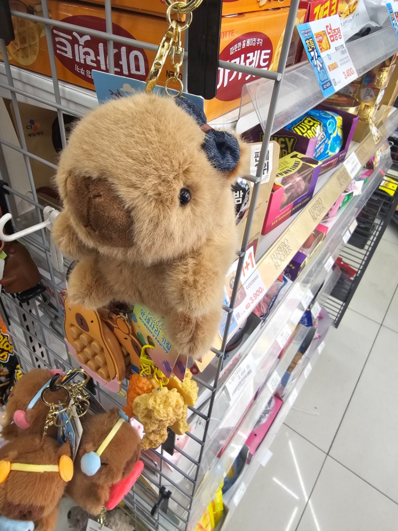 요즘 대세는 비벼?