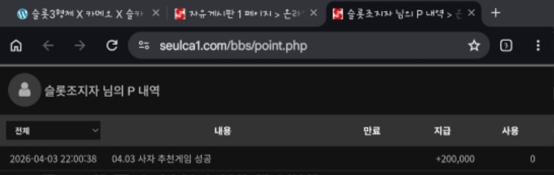 사자 추겜.수익성공