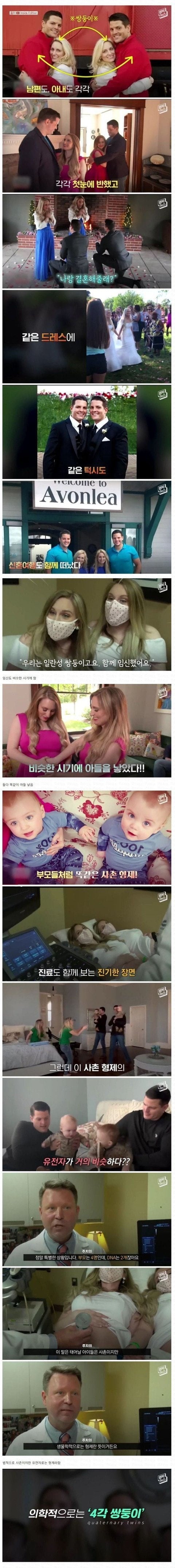일란성 쌍둥이 두조합 디엔에이