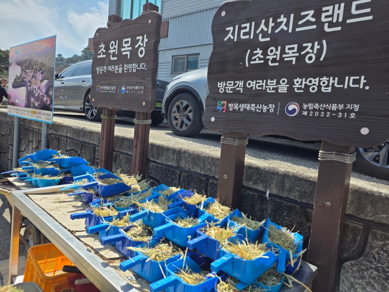 전남 구례2탄 (김천 연화지)