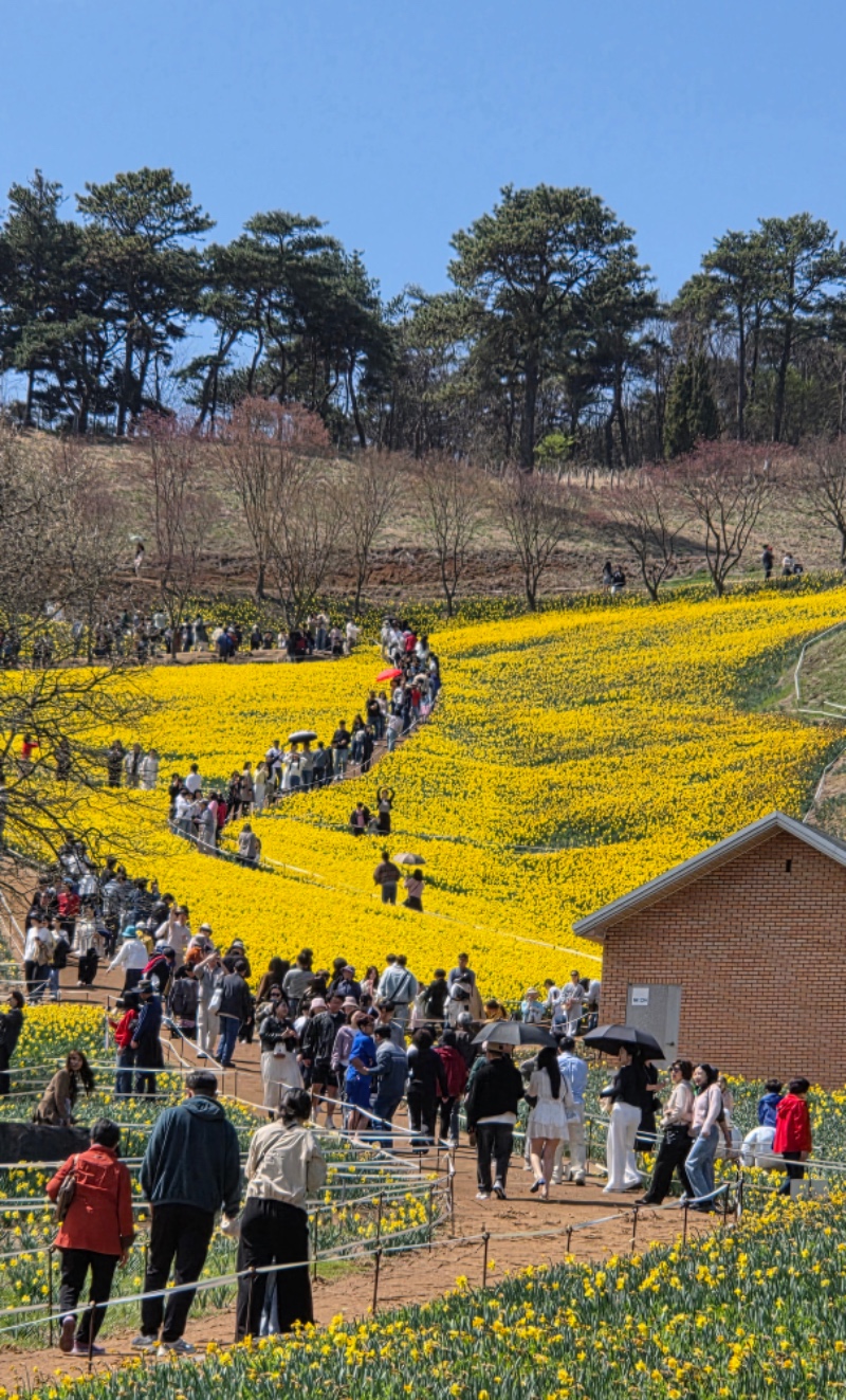 전남 구례2탄 (김천 연화지)