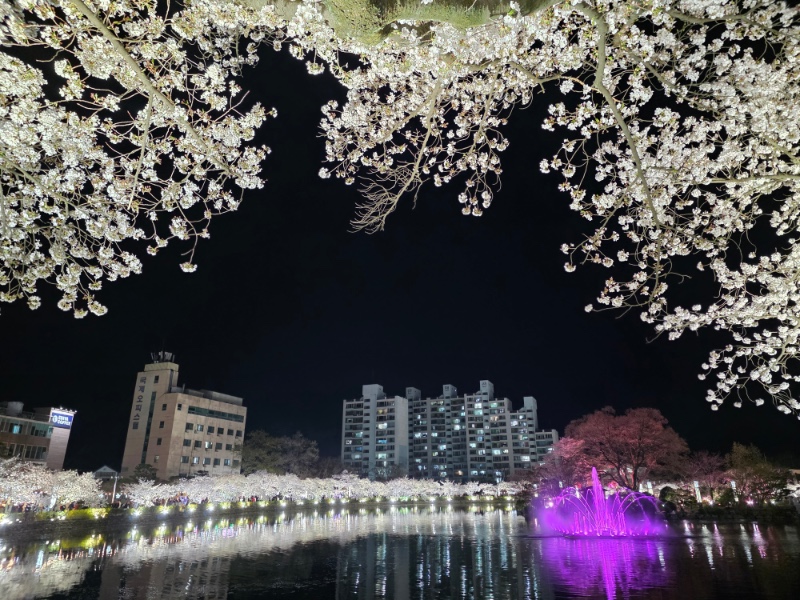 전남 구례2탄 (김천 연화지)