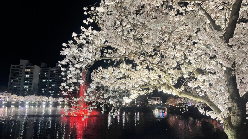 전남 구례2탄 (김천 연화지)