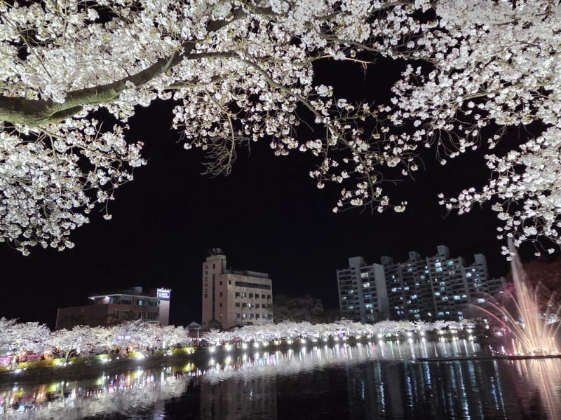 전남 구례2탄 (김천 연화지)