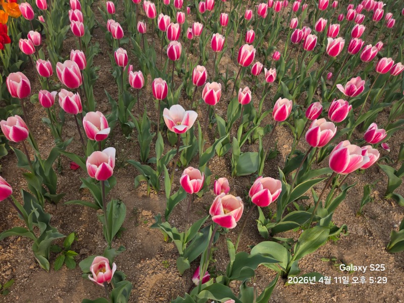 경주 친구들과 우정 사진 얼굴없음 ㅋ
