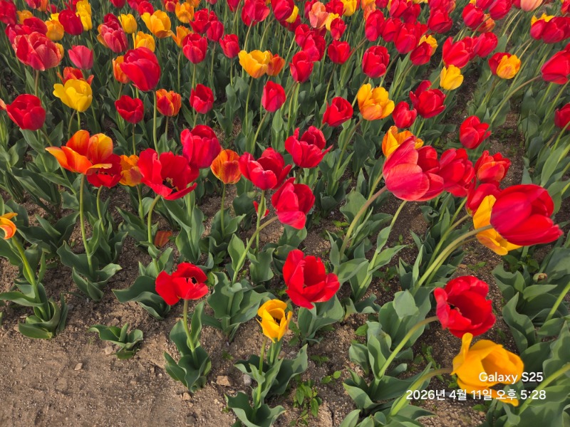 경주 친구들과 우정 사진 얼굴없음 ㅋ