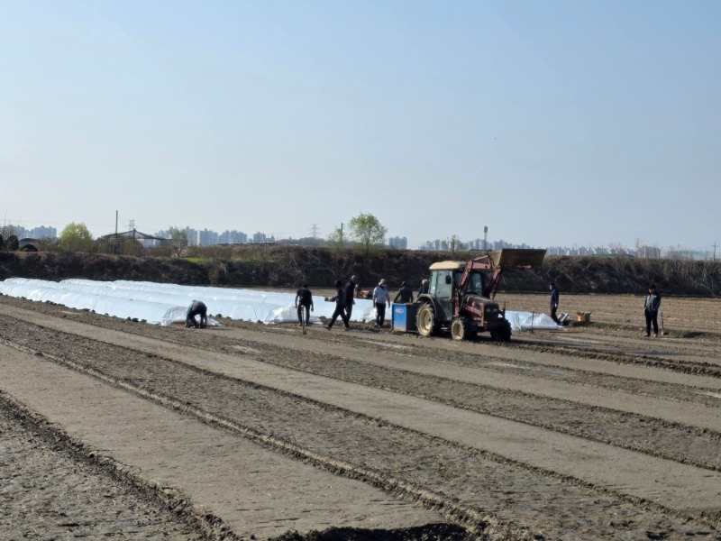 오늘은  1년농사  못자리 하는날  라방은 힘들고 재방을 봐야지