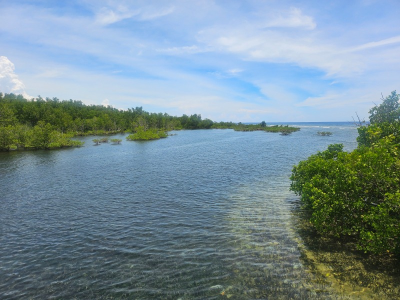 막날이라 너무 어쉽 ㅠ