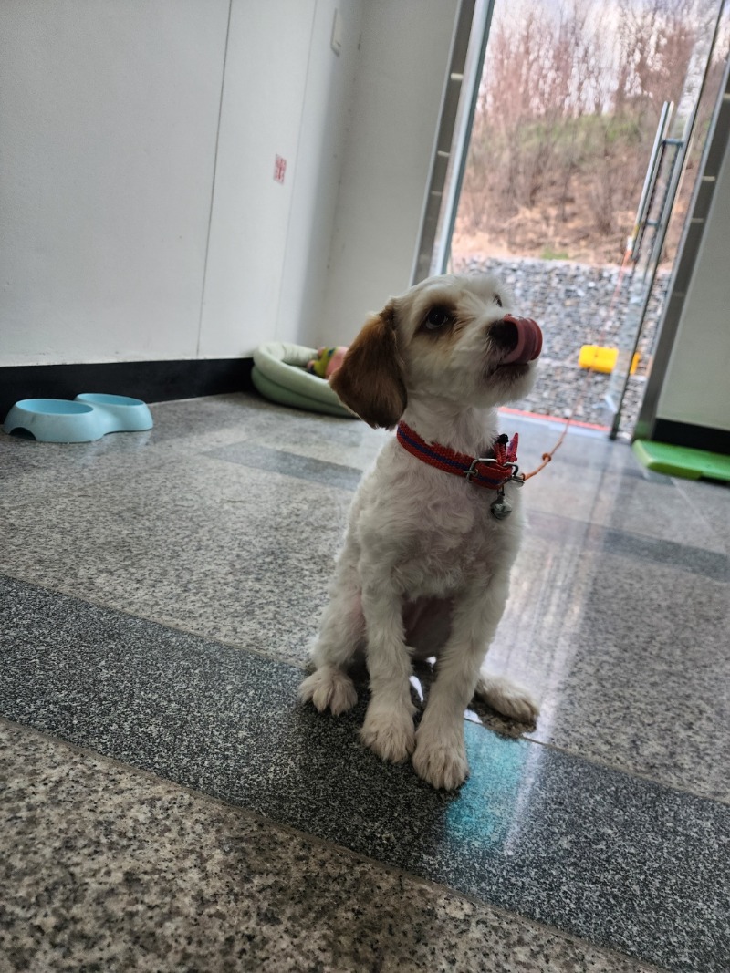 사자오빠~ 경비중 이상무!!!!