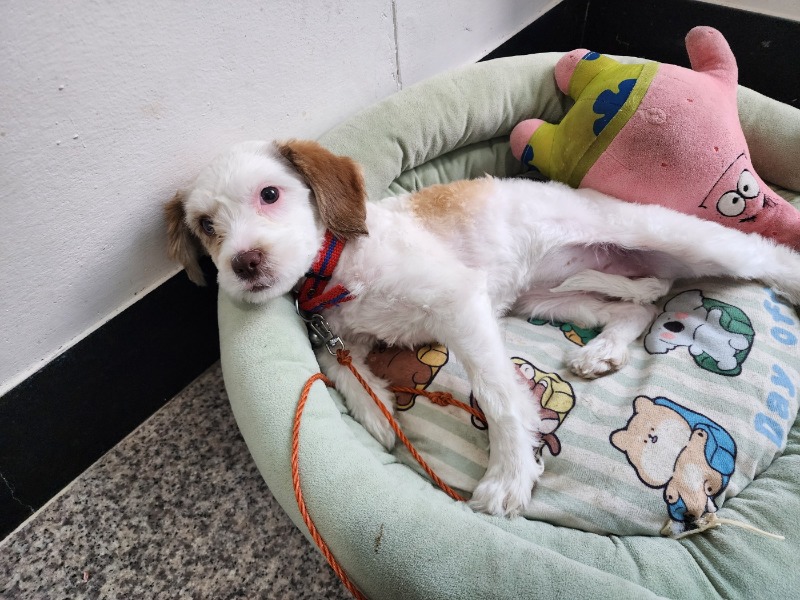 사자오빠~ 경비중 이상무!!!!