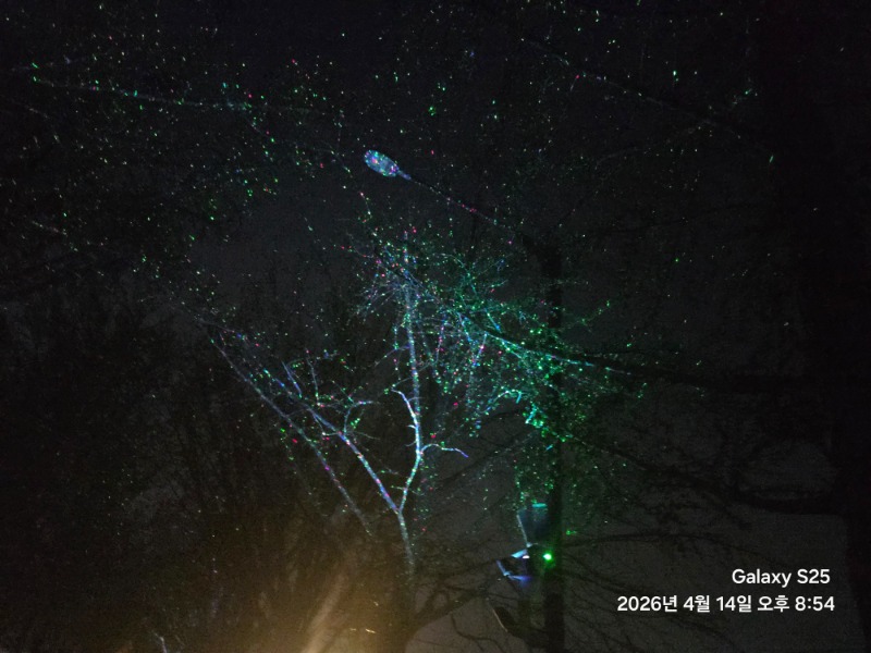 우리동네 은행나무길ㅎ