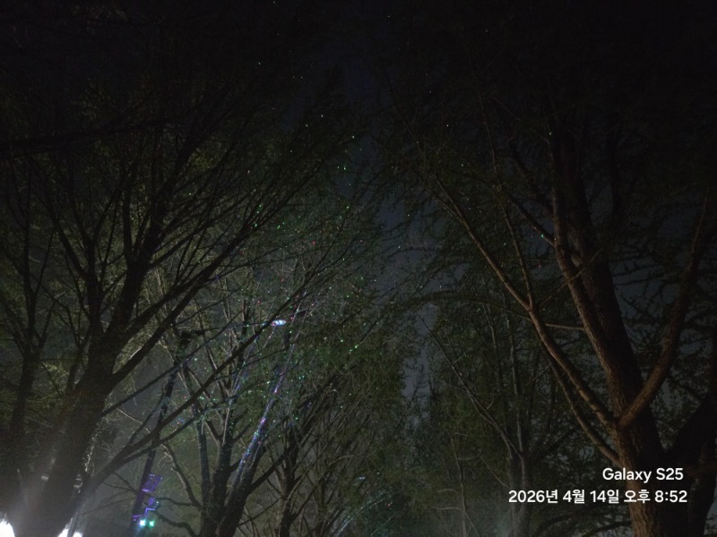 우리동네 은행나무길ㅎ