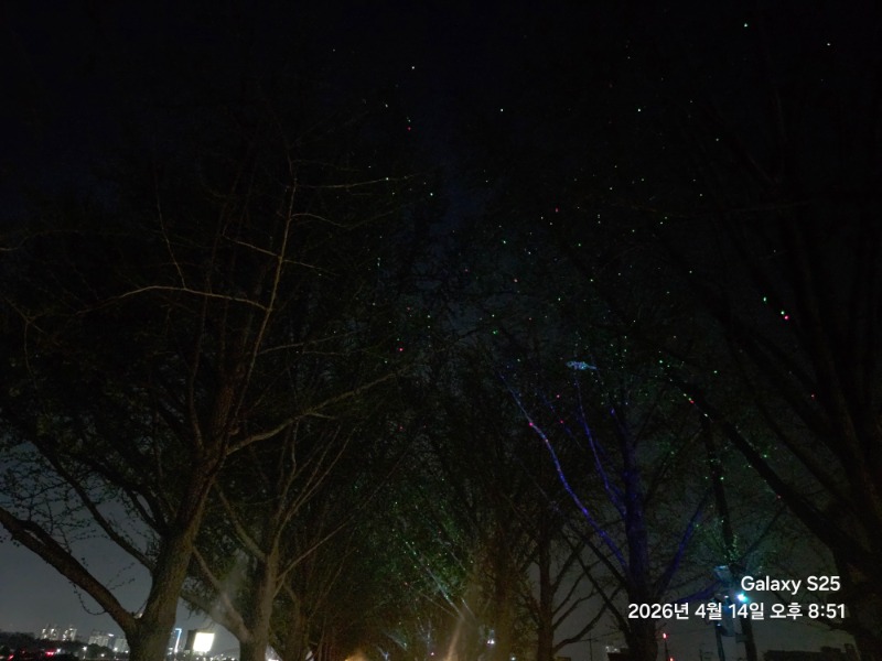 우리동네 은행나무길ㅎ