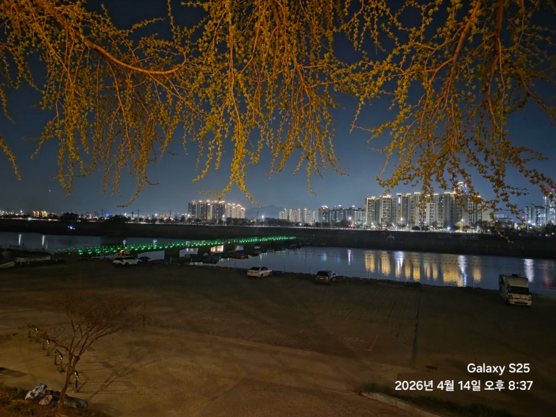 우리동네 은행나무길ㅎ