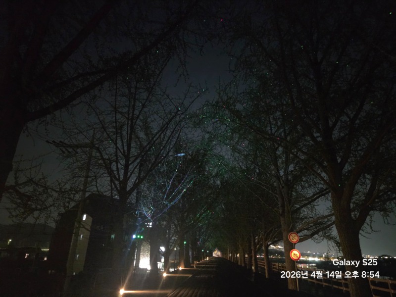 우리동네 은행나무길ㅎ