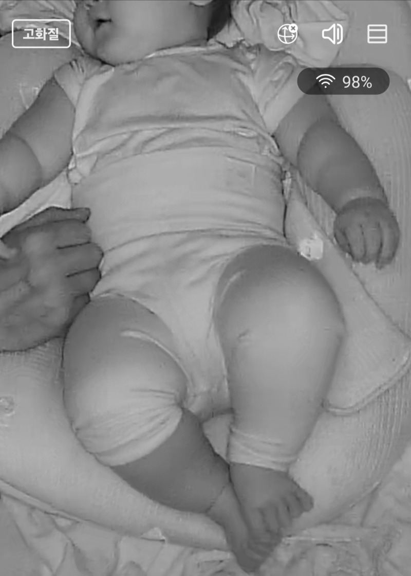 네모네모 되어가는 킁킁이...