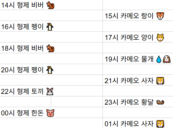 [4월17일] 금일 방송 스케줄입니다