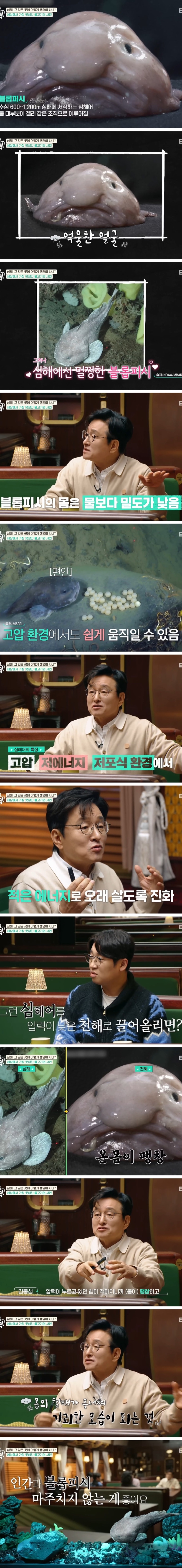 방시혁 물고기 정체