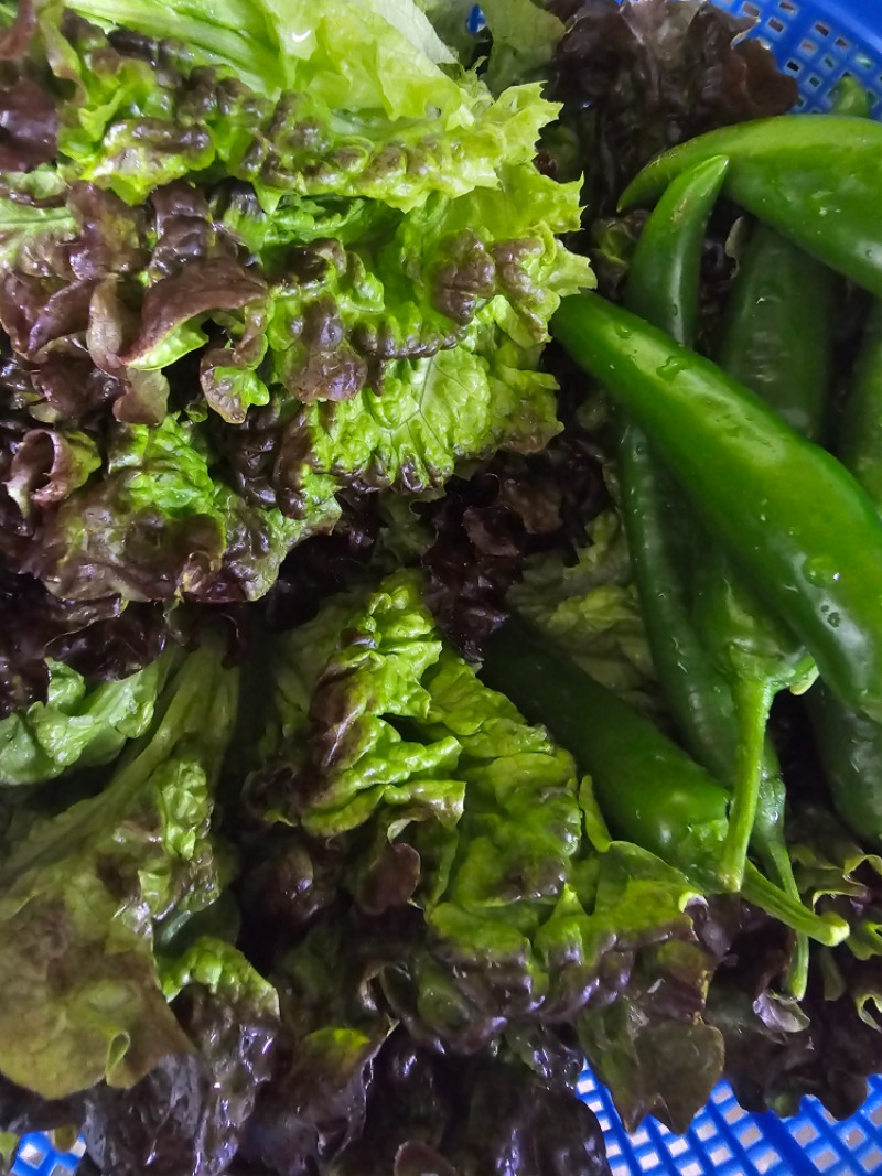 맛저 하세용~  저녁밥 준비중~