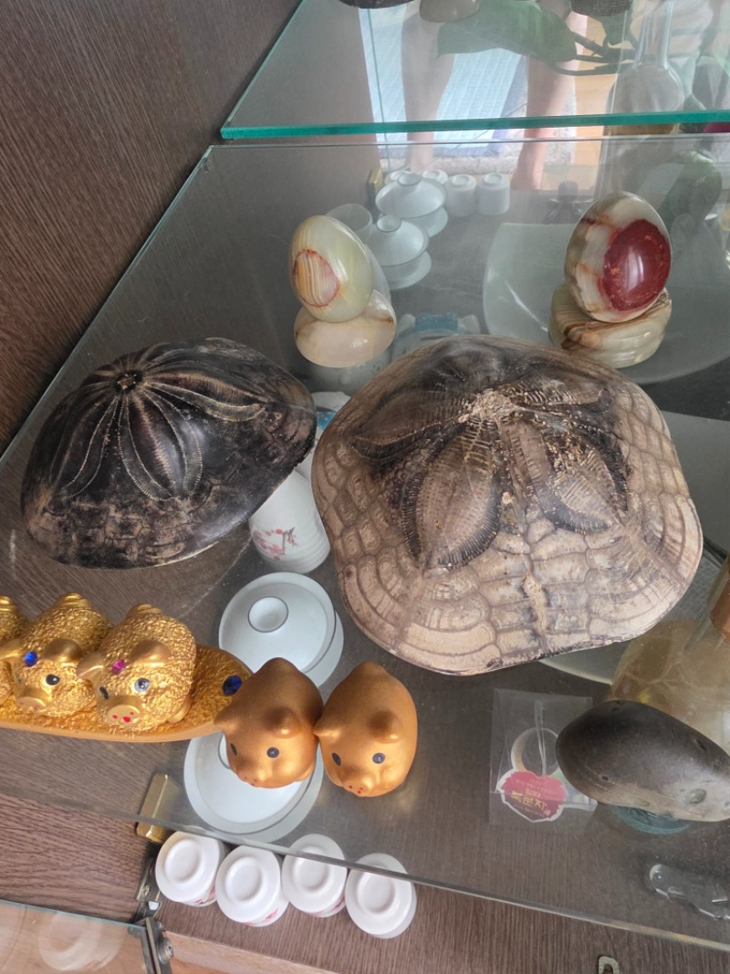 아버지께서 35년전에 외국에서 캐서 가져오신거