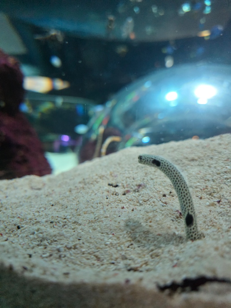 아쿠아리움 투어..