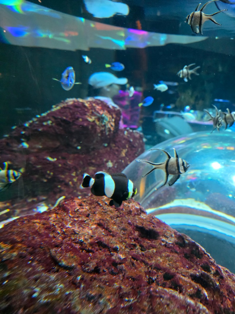 아쿠아리움 투어..