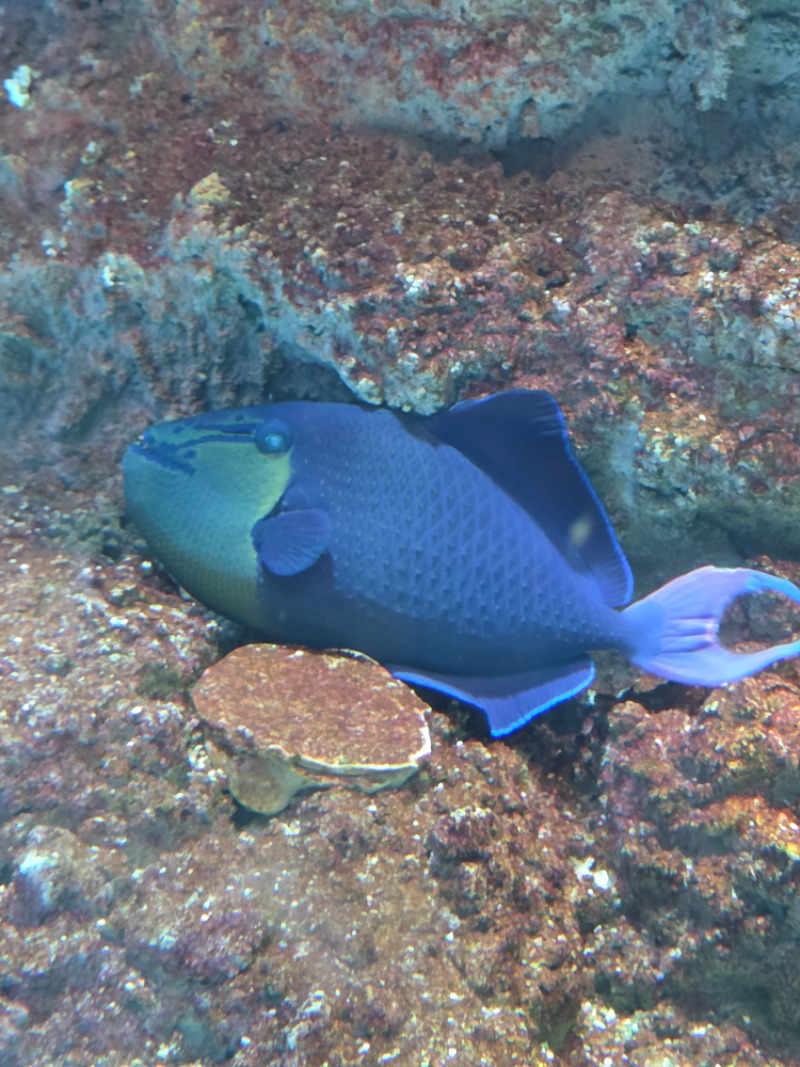 아쿠아리움 투어..