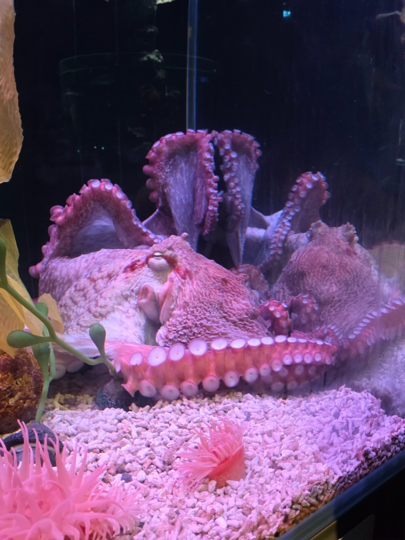 아쿠아리움 투어..