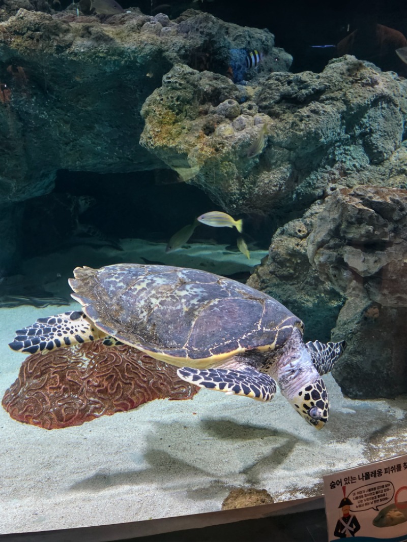 아쿠아리움 투어..